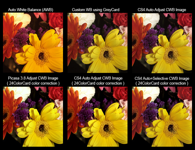 Color Balance Cards from CameraTrax
